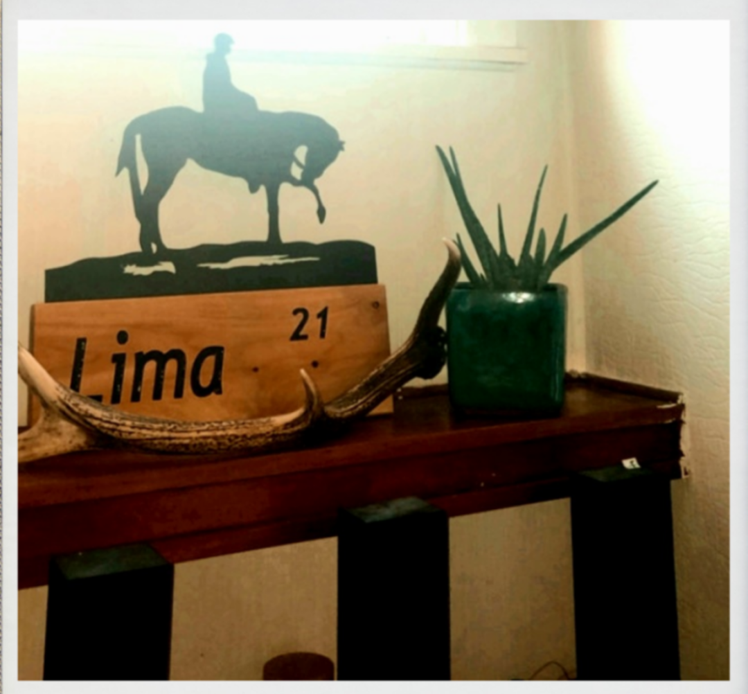 Macrocarpa 'Lima' 21st Sign image 1